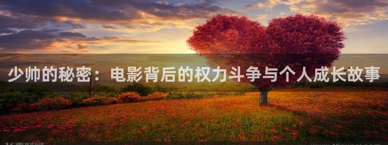 棋魂在线观看西瓜