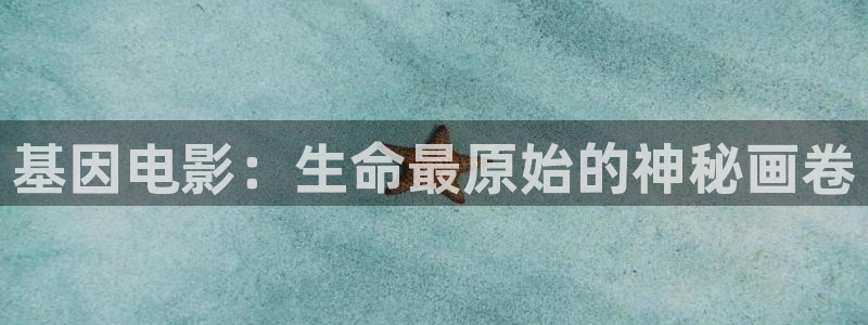 暗黑者第一季西瓜免费观看