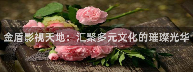 电影完整版免费观看西瓜