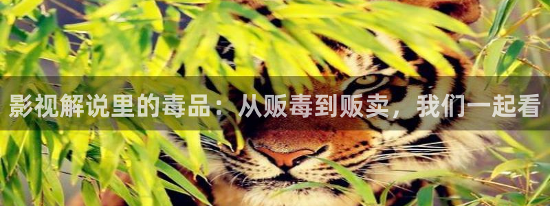 无证之罪免费观看西瓜