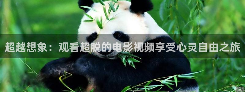 西瓜影院高清免费观看电视剧软件特色
