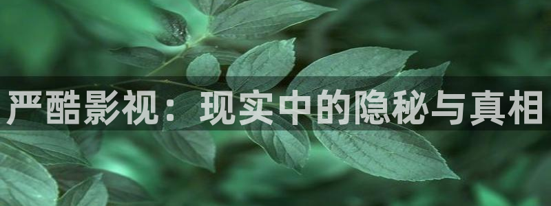 日剧西瓜在线