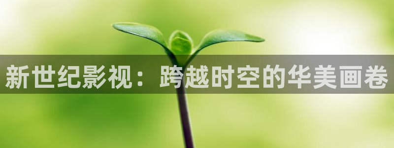 大西瓜午夜电影