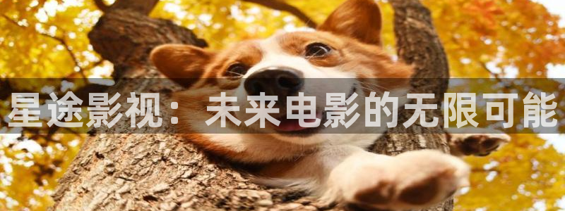 月光变奏曲免费观看完整版西瓜