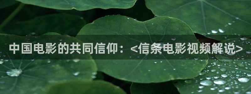西瓜视频app