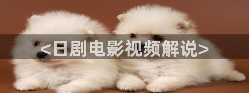 神马西瓜免费电影