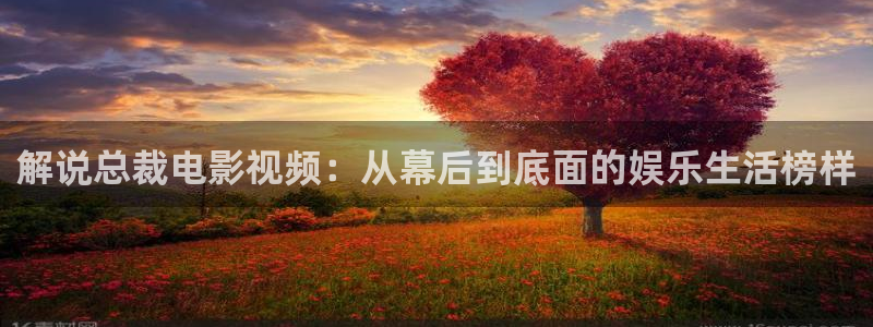 西瓜免费电影网