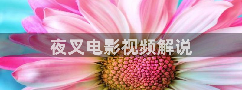 冰雨火免费观看全集西瓜