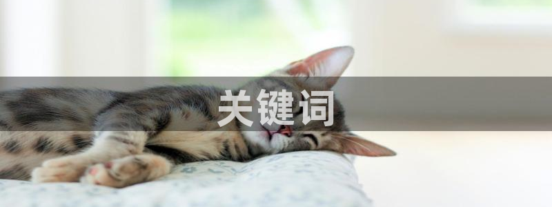 深情密码电视剧全集免费西瓜
