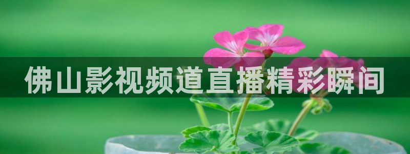 新闻图片